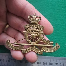 South African Transvaal Horse