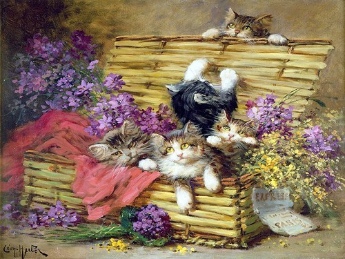 Kittens play cat tile - play,