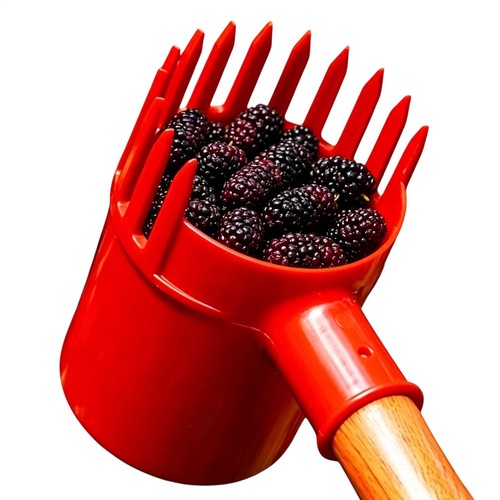 Fruit picker berry harvester - berry,