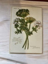 Vintage Marks & Spencer Hand