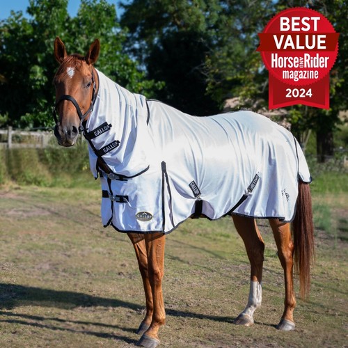 Mesh fly horse rug - mesh,