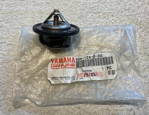 Genuine yamaha fzr1000 - genuine,
