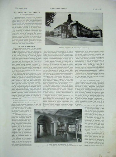 Original old vintage print - original,