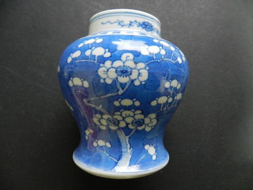 Antique chinese prunus - antique,