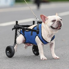 Disabled Pet Wheelchair 2-25kg | Lightweight Adjustable Dog/Cat Rehab Cart
