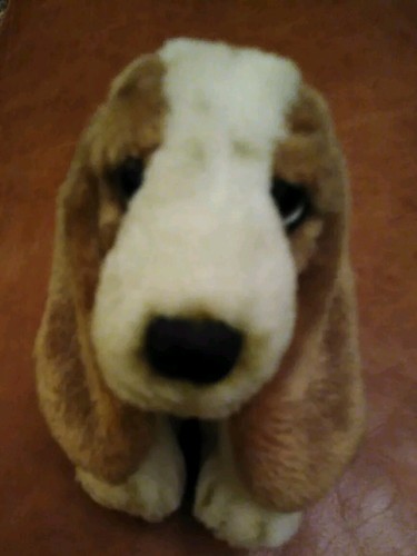 Hush puppies soft toy - puppies,