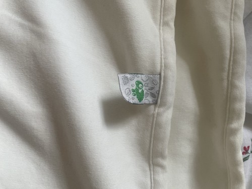 The little green sheep - little,