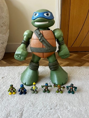 Teenage mutant ninja turtles - teenage,