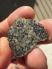 1.5g slice of NWA 16459