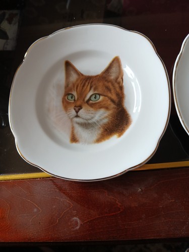 Small cat plates 16cm - 2,