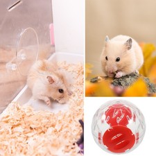 2pcs clear hamster - hamster, dwarf