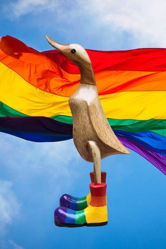 Bamboo rainbow boot duck - bamboo,