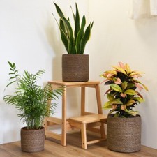 Handwoven Chia Seagrass Fibre