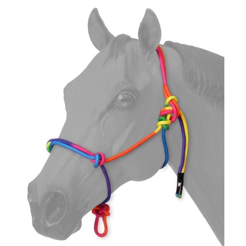 Miniature horse rainbow rope - horse,