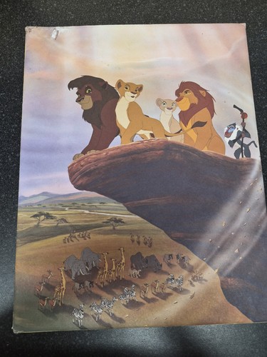 Disney store lion king - store,
