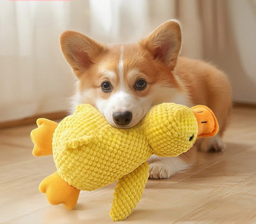 Indestructible cat dog toy - cat,