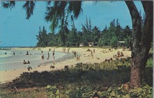 Barbados Postcard - "Rockley Beach", Christ Church  SW17479