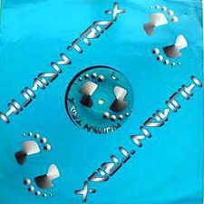 Alien Thing - Bees / The Birds - Used Vinyl Record 12 - U5628z