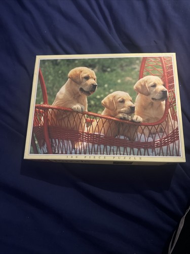 Golden retriever puppies - golden,