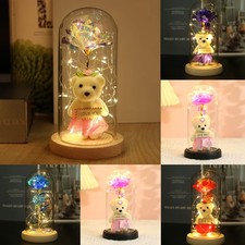 Mothers Day Gifts LED light