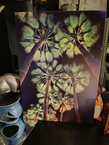 Displate pamlen magnetic - pamlen, la