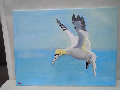 Gannet keith webster - by,