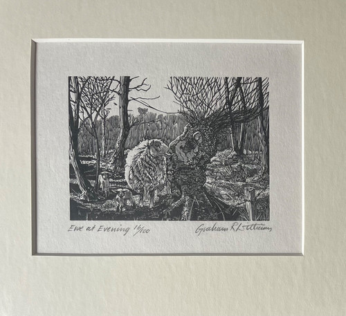 Graham williams signed - graham,