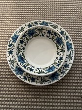 Midwinter Spanish Garden 9