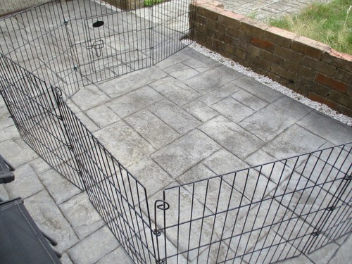 Metal rabbit run panels - rabbit, 8