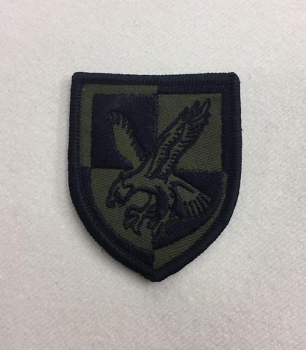 Air assault green brigade - air,