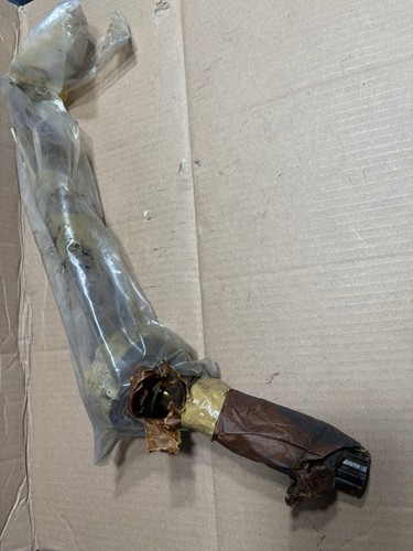 Asia rocsta front - rocsta, half
