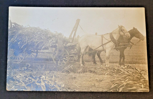 Rppc farmer antique - rppc,