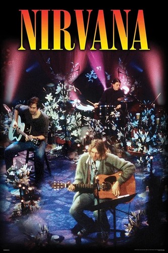 Nirvana unplugged 24x36 poster - unplugged,