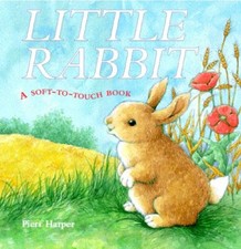 Little Rabbit: A Soft-to-Touch
