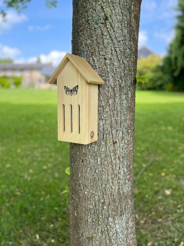 Small wooden butterfly hotel - small,