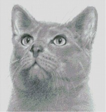 Cross Stitch Chart, Pattern