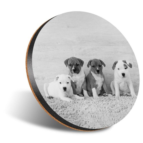 Round 12cm coaster - 1, x