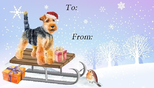 Welsh terrier dog christmas - dog,