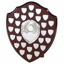 The Multi Sport 28 Year Annual