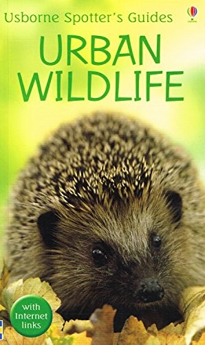 Urban wildlife usborne - wildlife, (usborne