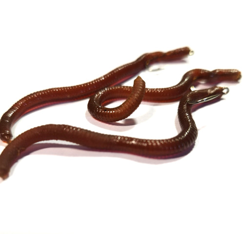 New earth worm fly fishing - worm,