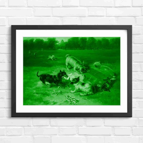 Playful pugs and terriers - and,