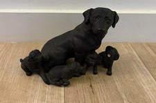 Large Black Labrador Dog