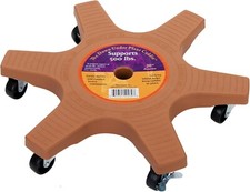 Bosmere Down Under 20" Plant