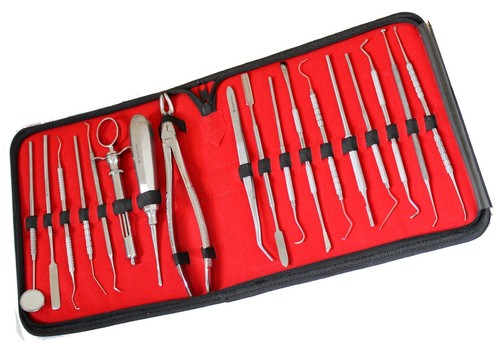 Pro dental mouth - dental, inspection