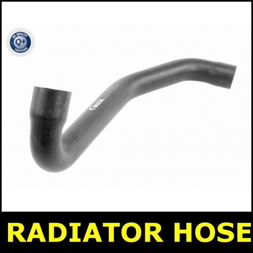 Radiator hose lower - hose, for