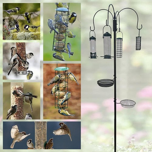 Wild bird garden feeding - wild,