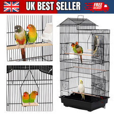 African Grey Cage Large Open