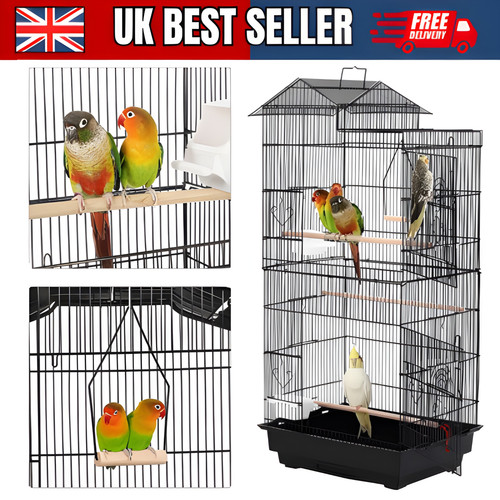African grey cage large - grey, open