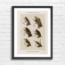 Vintage salmon fly fishing - salmon,